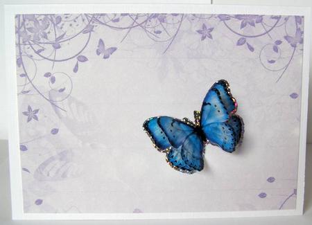 Butterfly Background by Margaret McCartney