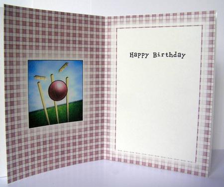 Cricket A5 Insert - Ball Games Colours by Margaret McCartney