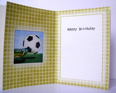 Football A5 Insert - Ball Games Colours by Margaret McCartney