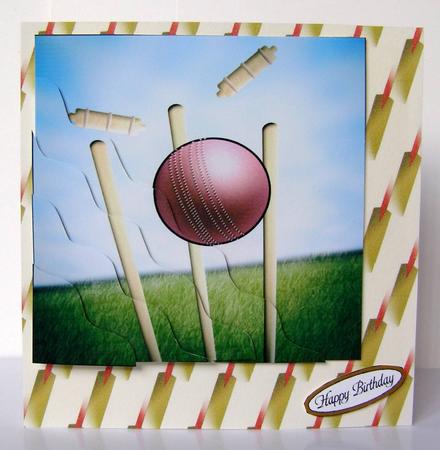 Anyone for Cricket by Margaret McCartney