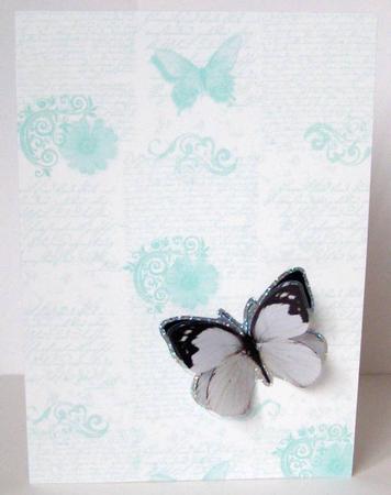 Butterfly Script 2 by Margaret McCartney