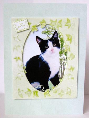 Vellum - 'sea' - Shaded Background by Margaret McCartney