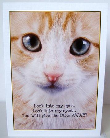 Cat Hypnotise Card Topper by Margaret McCartney