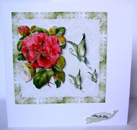 Red Rose and Butterflies by Margaret McCartney