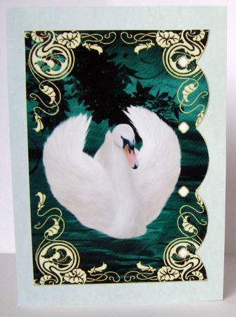 Swan Lake 2 by Margaret McCartney
