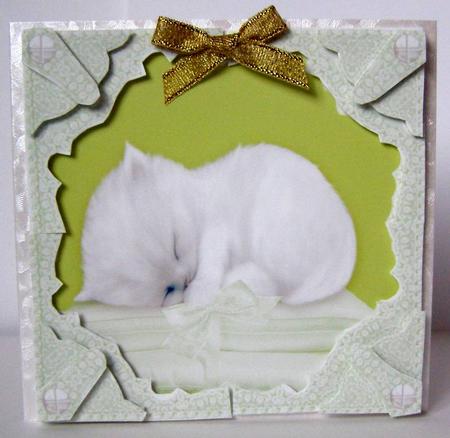Sleeping Kitten 3D Green Lace Corner Corner Stacker by Margaret McCartney