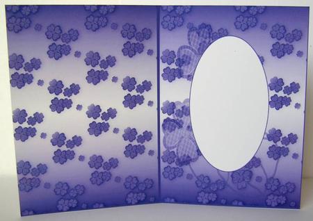 Purple Insert by Margaret McCartney