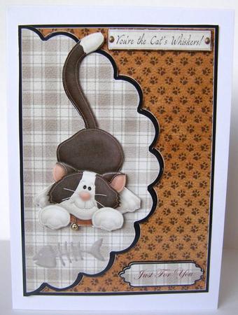 Cats Whiskers Envelope Card by Margaret McCartney