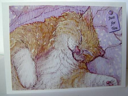 A4 Cat Nap by Margaret McCartney