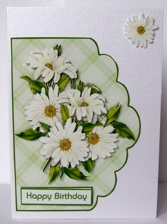 Fresh as a Daisy by Margaret McCartney