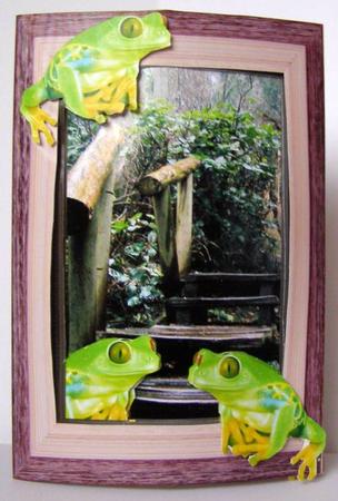 Inside Out Card Tropical Frogs by Margaret McCartney