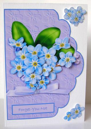 Forget-you-not Forget-me-nots by Margaret McCartney