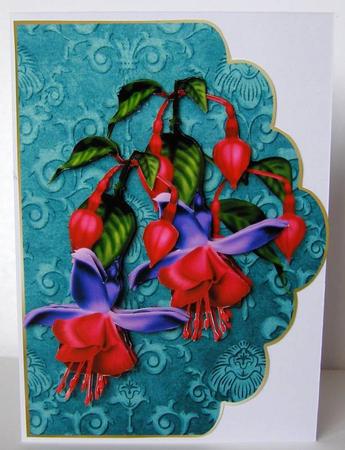 Fuschia Extravaganza by Margaret McCartney