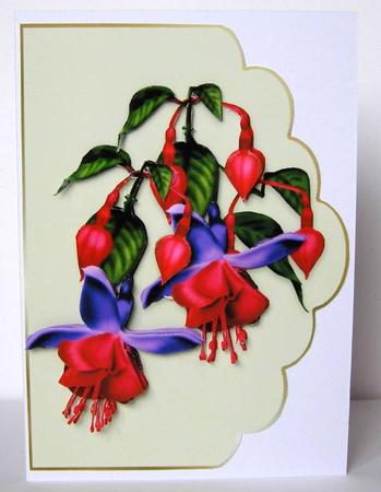 Fuschia Lemon by Margaret McCartney