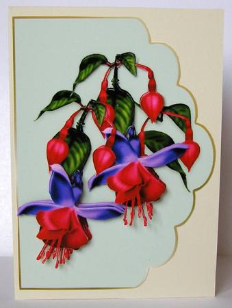 Fuschia Green by Margaret McCartney
