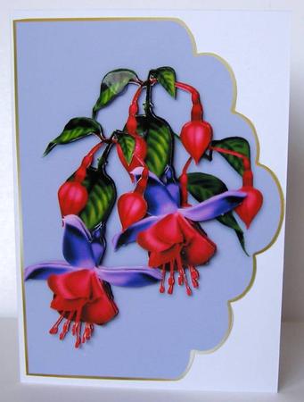 Fuschia Blue by Margaret McCartney