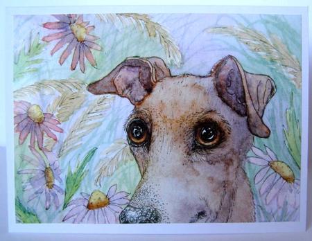A4 in Hiding, Dog in Garden by Margaret McCartney