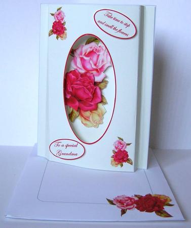 A Window of Roses by Margaret McCartney