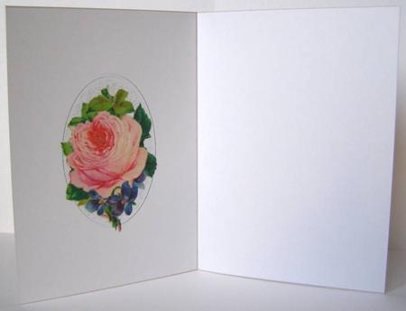 Bloomin Lovely Insert by Margaret McCartney
