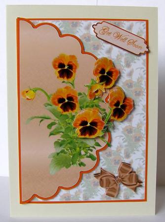 Popular Pansy Envelope Cardfront by Margaret McCartney