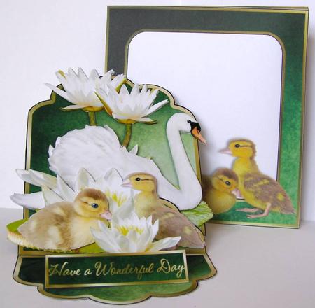 Easel Card Kit - Go On, a Swan! by Margaret McCartney