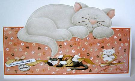 Ohhh So Purrr Sonable Large Over the Edge Dl Card by Margaret McCartney