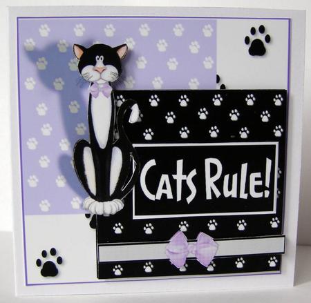 Crazy Cat by Margaret McCartney