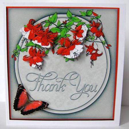Thank You Fushia by Margaret McCartney