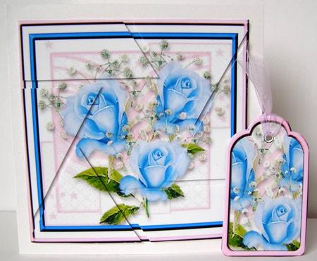 3 Blue Rose's Camera Eye Stacker by Margaret McCartney
