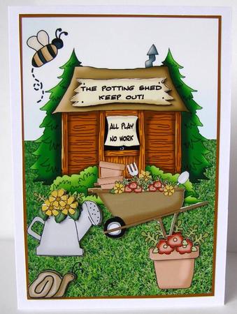 The Potting Shed by Margaret McCartney