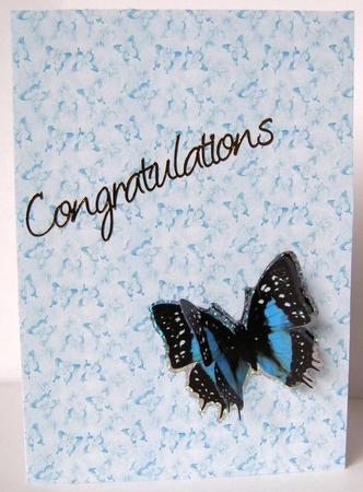 Baby Blue Butterflies Backing Paper by Margaret McCartney