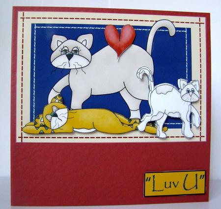 Cats Have 9 Lives by Margaret McCartney