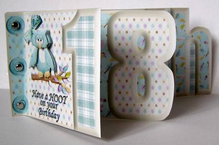Have a Hoot on Your Birthday 18th Number Book by Margaret McCartney