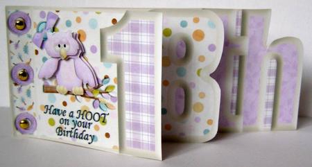 Pink Have a Hoot on Your Birthday 18th Number Book by Margaret McCartney