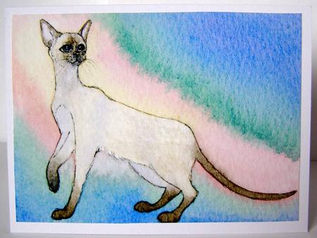 Siamese Cat by Margaret McCartney