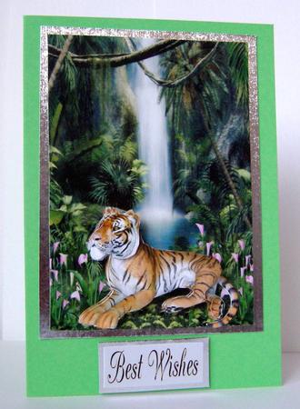 Beautiful Beast by Margaret McCartney