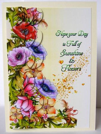 Sunshine and Flowers by Margaret McCartney
