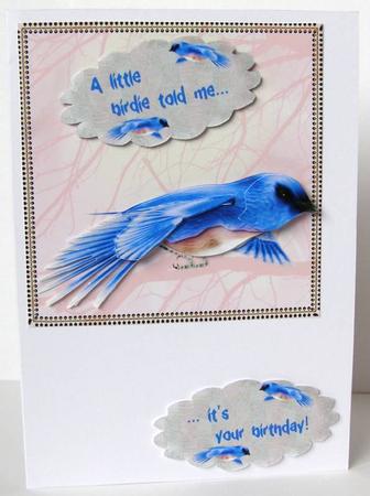 Blue Bird Birthday by Margaret McCartney