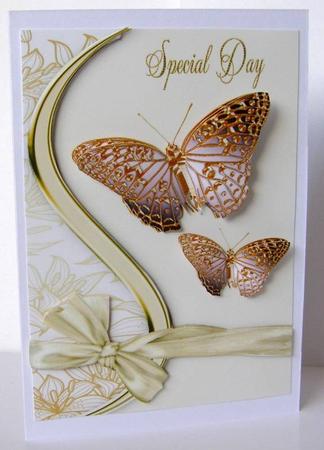 Special Day by Margaret McCartney
