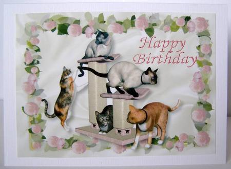 Playful Cats in a Frame of Pink Roses A4 by Margaret McCartney