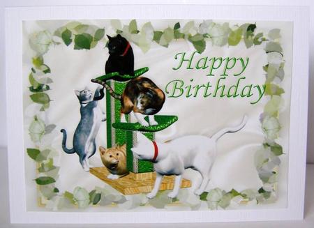 Cats at Play in Green Floral Frame, A4 by Margaret McCartney