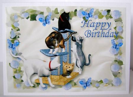 Playful Kitties in Blue Rose Frame A4 by Margaret McCartney