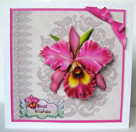 Beautiful Orchid and Embroidery by Margaret McCartney