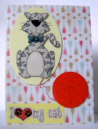 I Love My Cat by Margaret McCartney