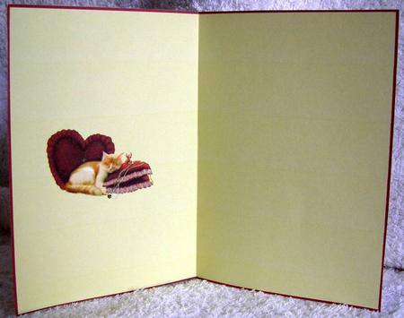 Cat Nap Insert by Margaret McCartney