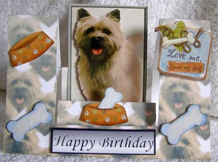 Cairn Terrier Dogpyramid & Background by Margaret McCartney