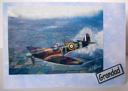 Military Flight by Margaret McCartney