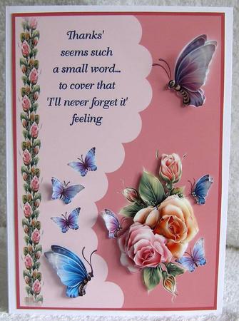 Butterflies and Wings Thank You by Margaret McCartney