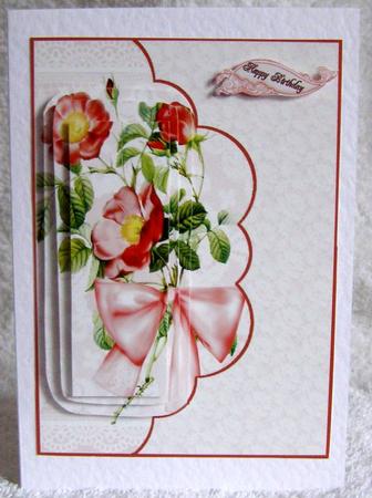 Dog Rose by Margaret McCartney