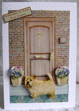 Cairn Terrier on a Door Step by Margaret McCartney